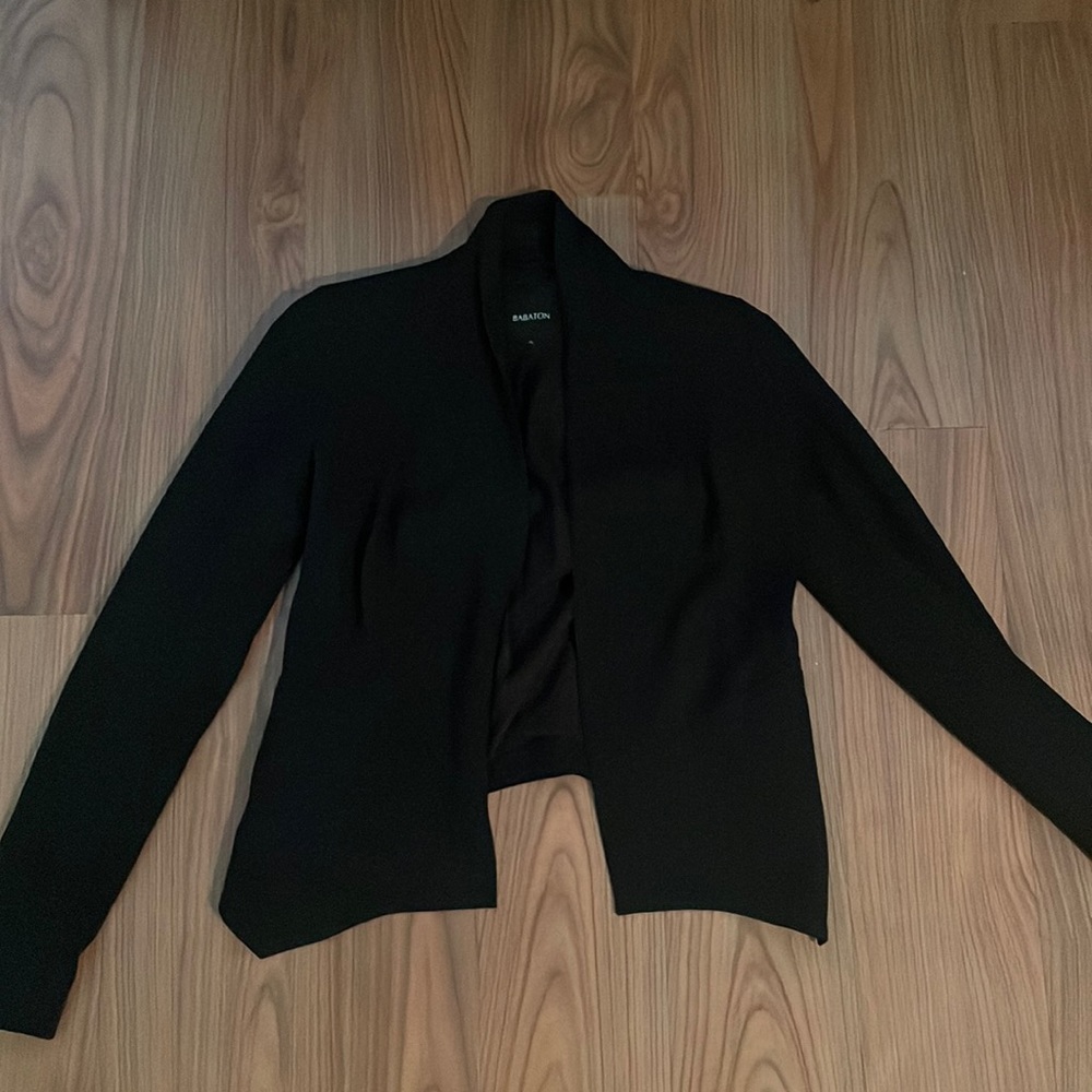 Babaton blazer